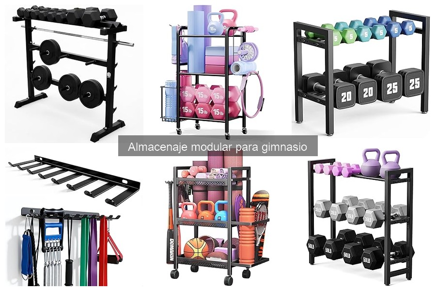 Tipos de sistemas de almacenaje modular para gimnasio