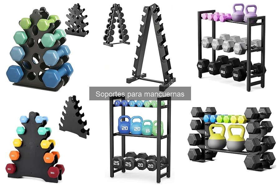 Tipos de soportes para mancuernas: características y ventajas